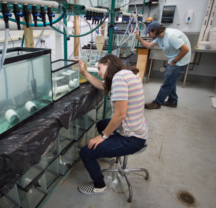 graduate students at the Great Lakes Center